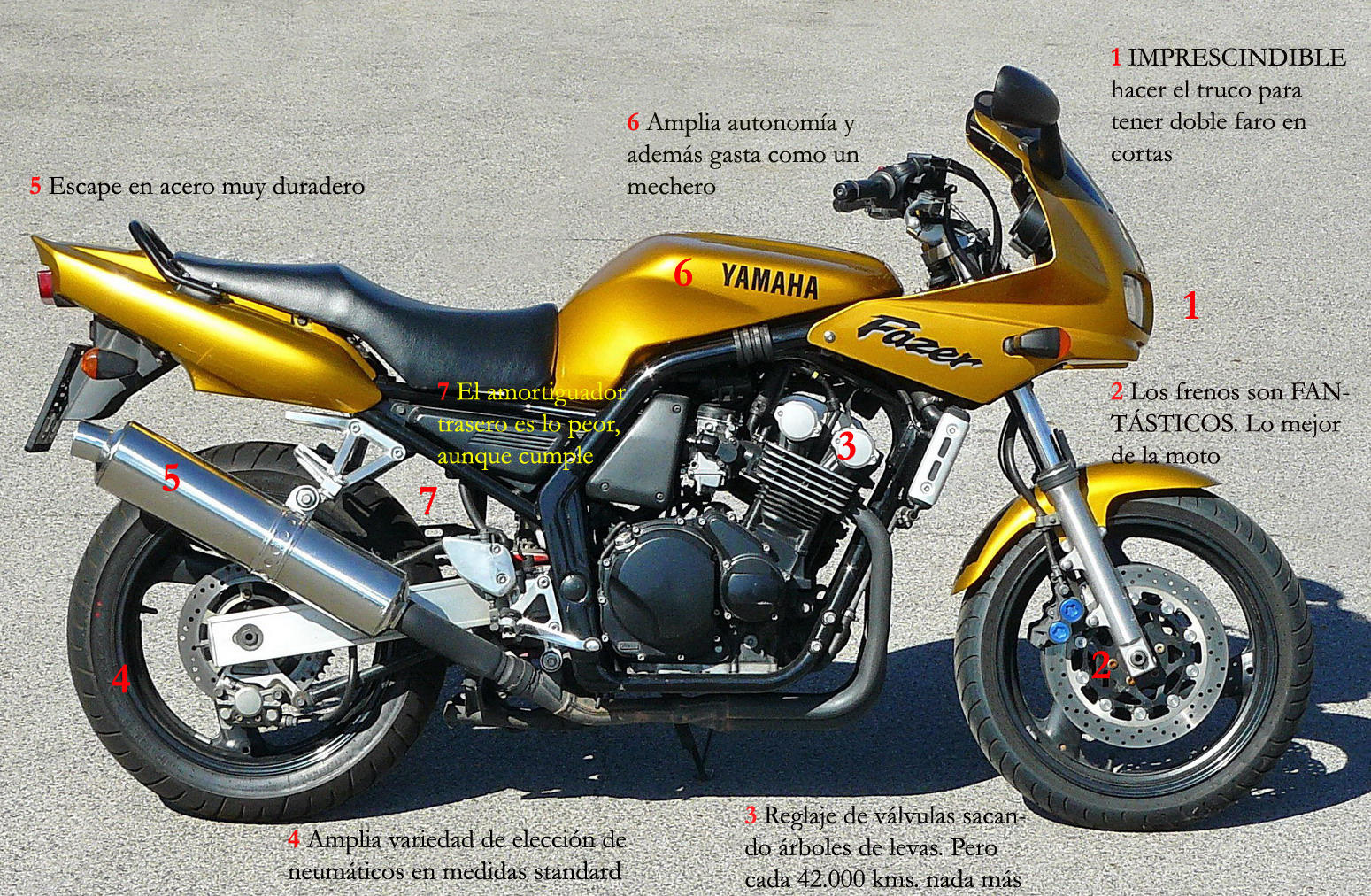 FZS600